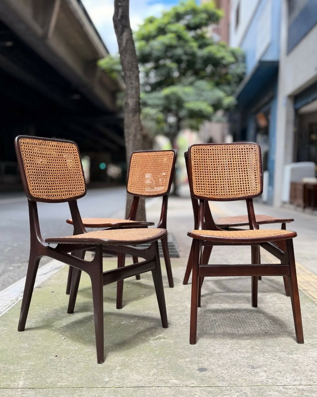 Set de 4 cadeiras, estilo anos 50 em madeira e palhinha