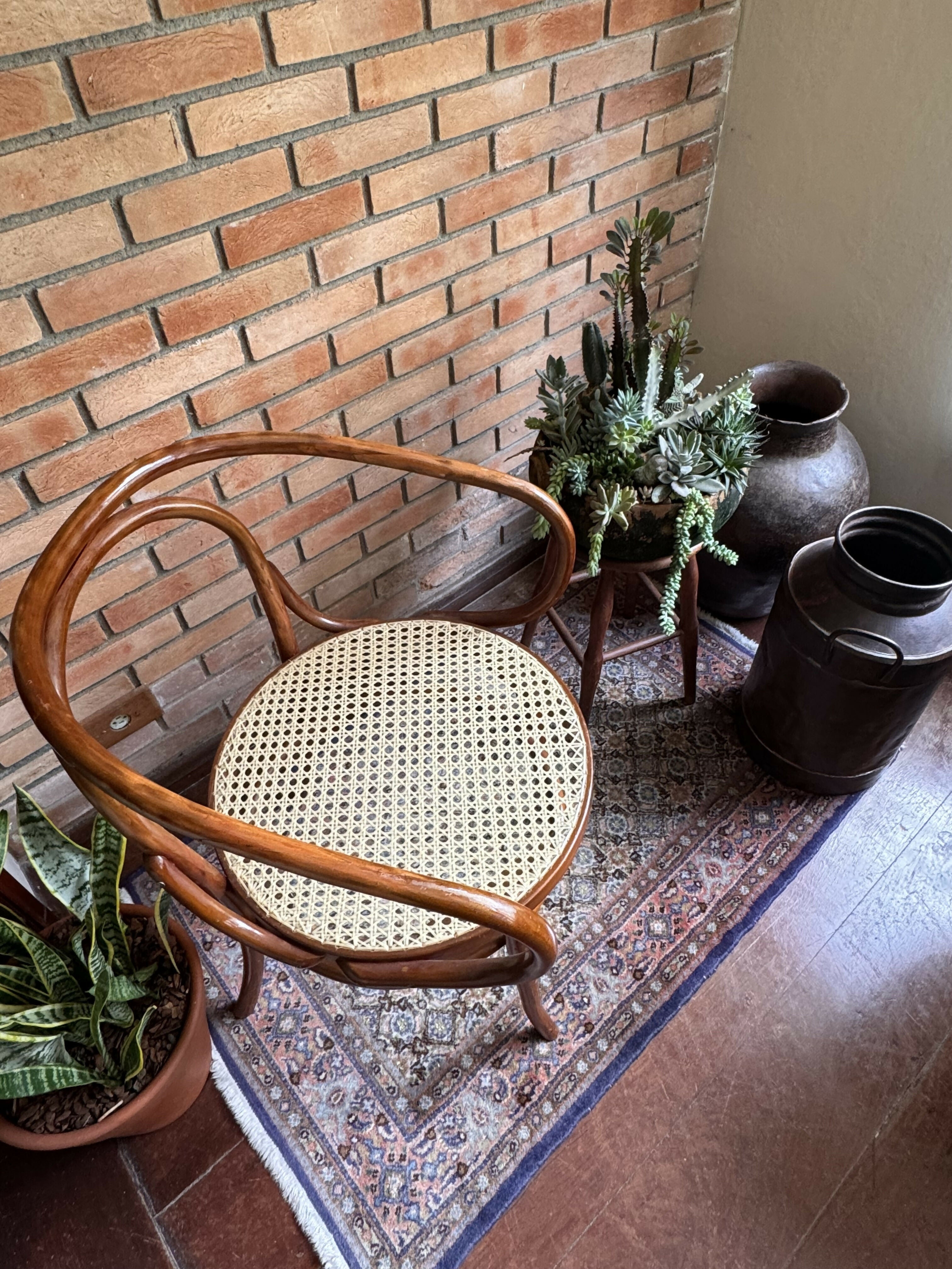 Poltrona Gerdau Thonet - modelo raro de encontrar