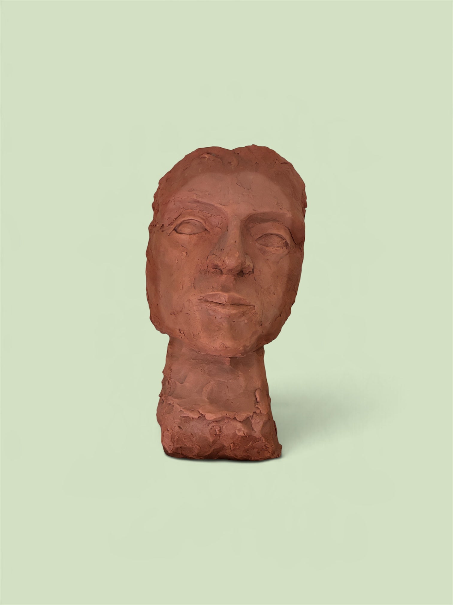 Escultura Busto Masculino em argila / barro