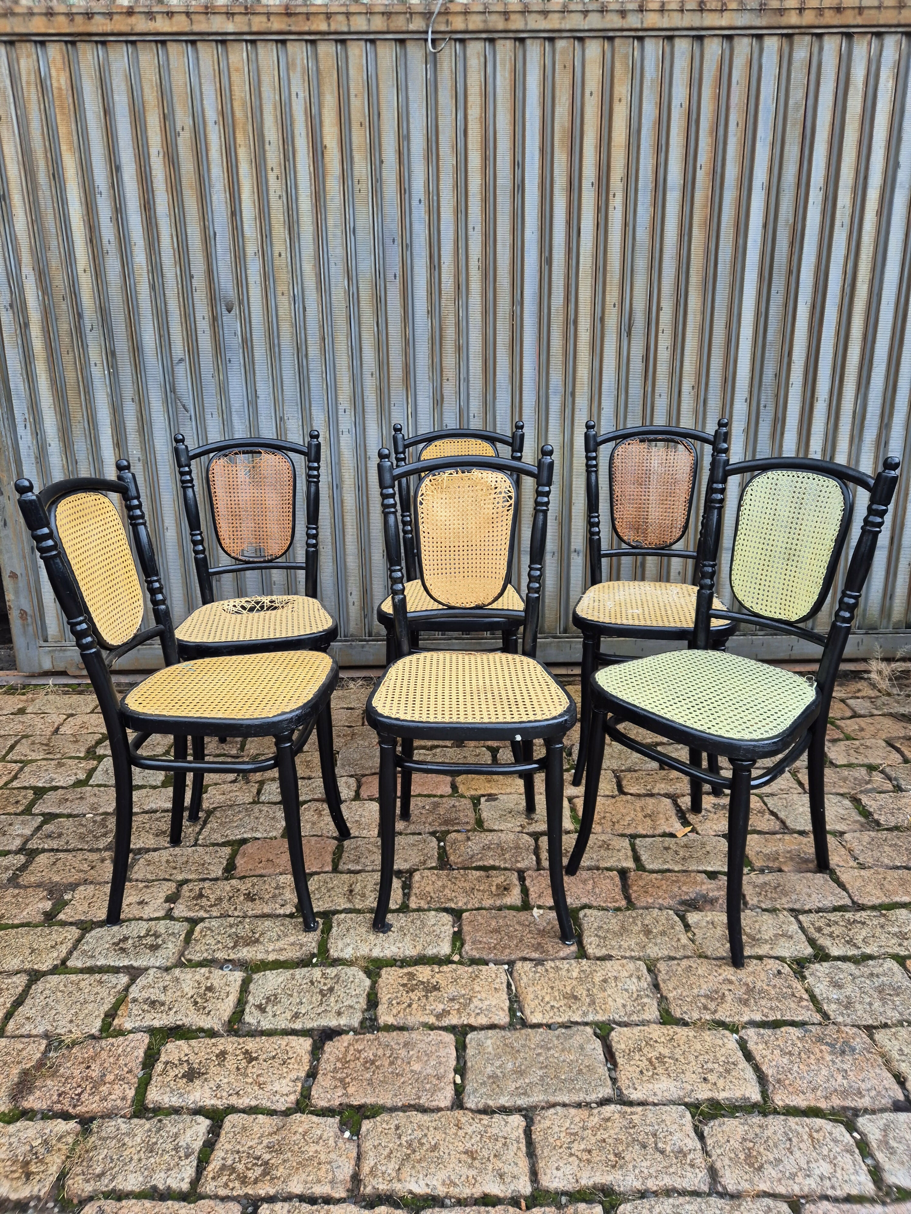 6 cadeiras antigas Thonet
