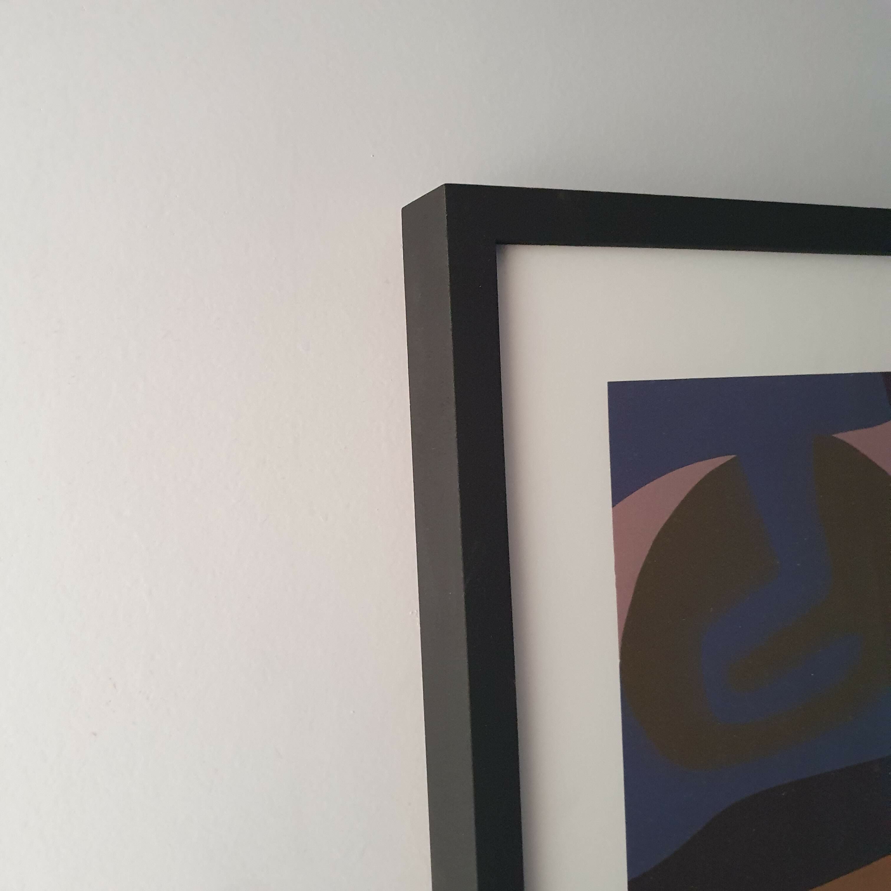 Quadro serigrafia de Jandyra Waters
