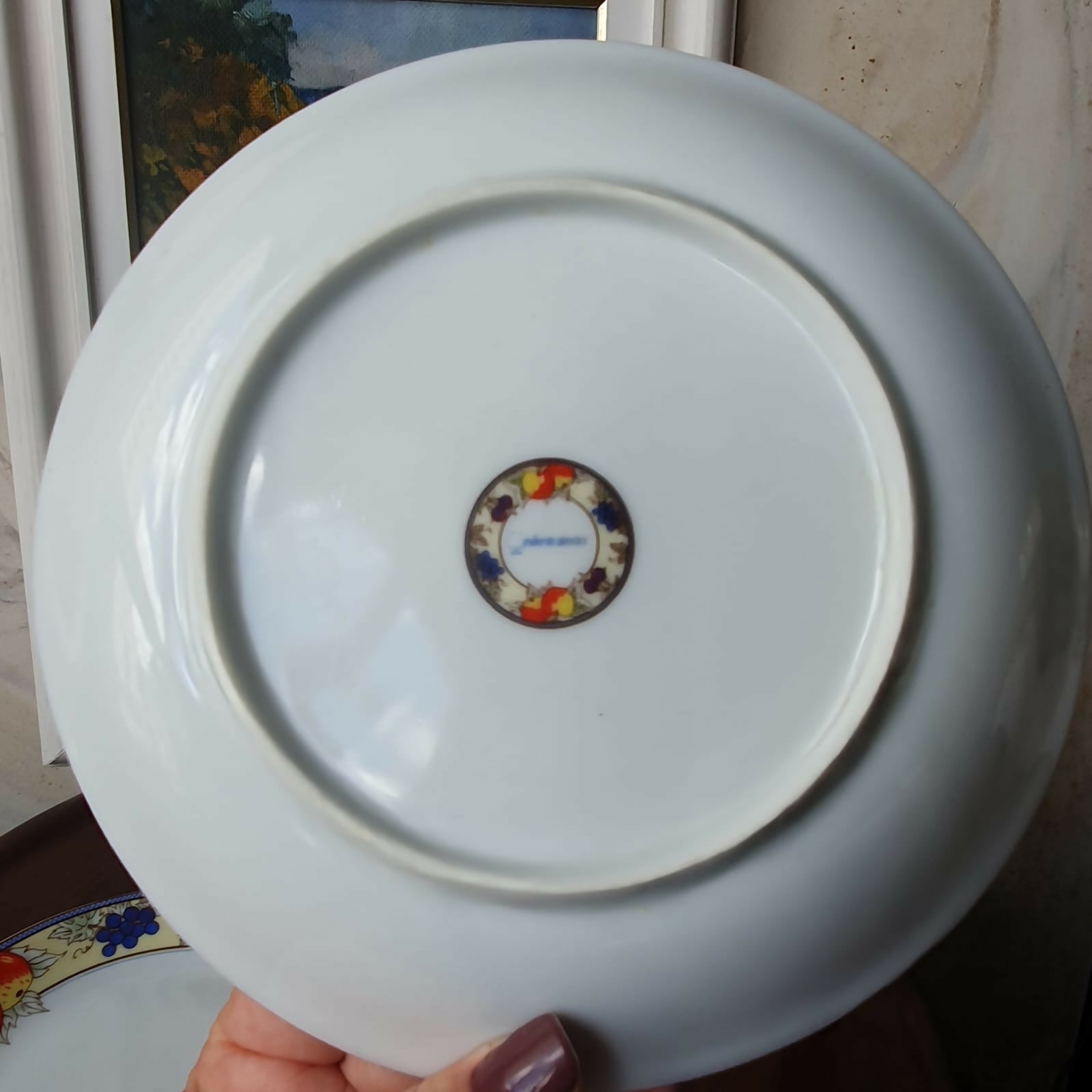 Conjunto de 14 pratos em porcelana nacional Roberto Simões. Lindo e em perfeito estado!