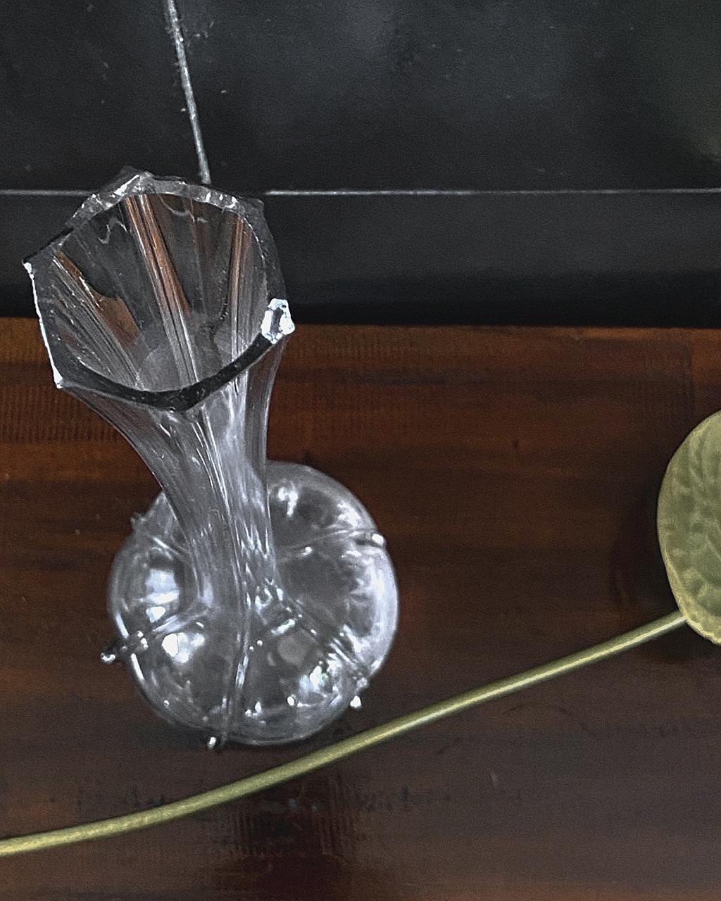 Vaso Solifleur Translúcido (DMCPS_039)