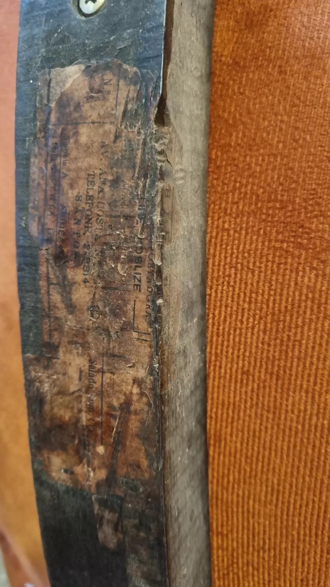 Poltrona Gelli com veludo alaranjado - restaurada