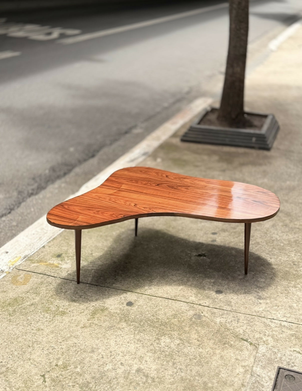 Mesa de Centro Orgânica