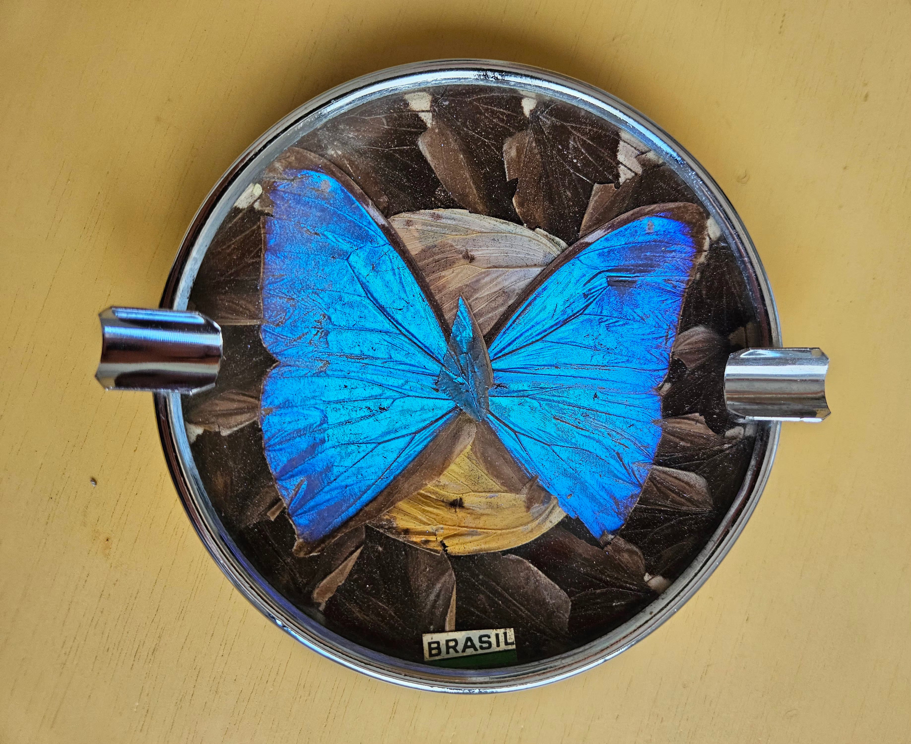 Cinzeiro de Souvenir Anos 40/50 - Taxidermia Real com Borboleta Azul (Morpho) - 11,5 cm