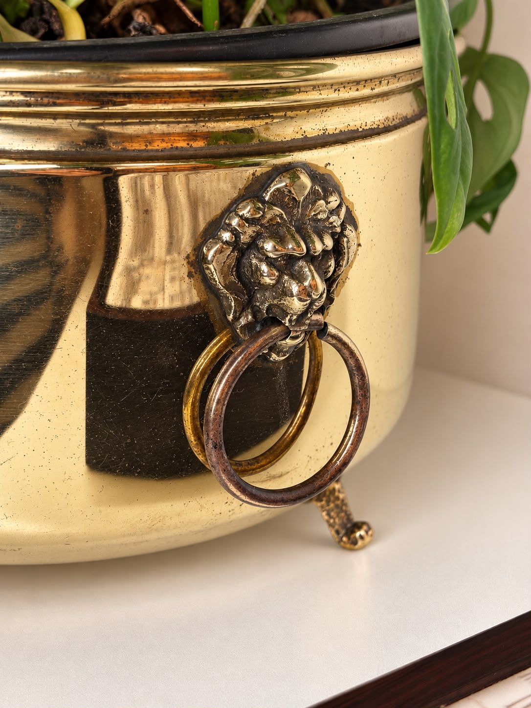 Cachepô em Latão e Bronze com Máscaras de Leão, Argolas e Pés Ornamentados