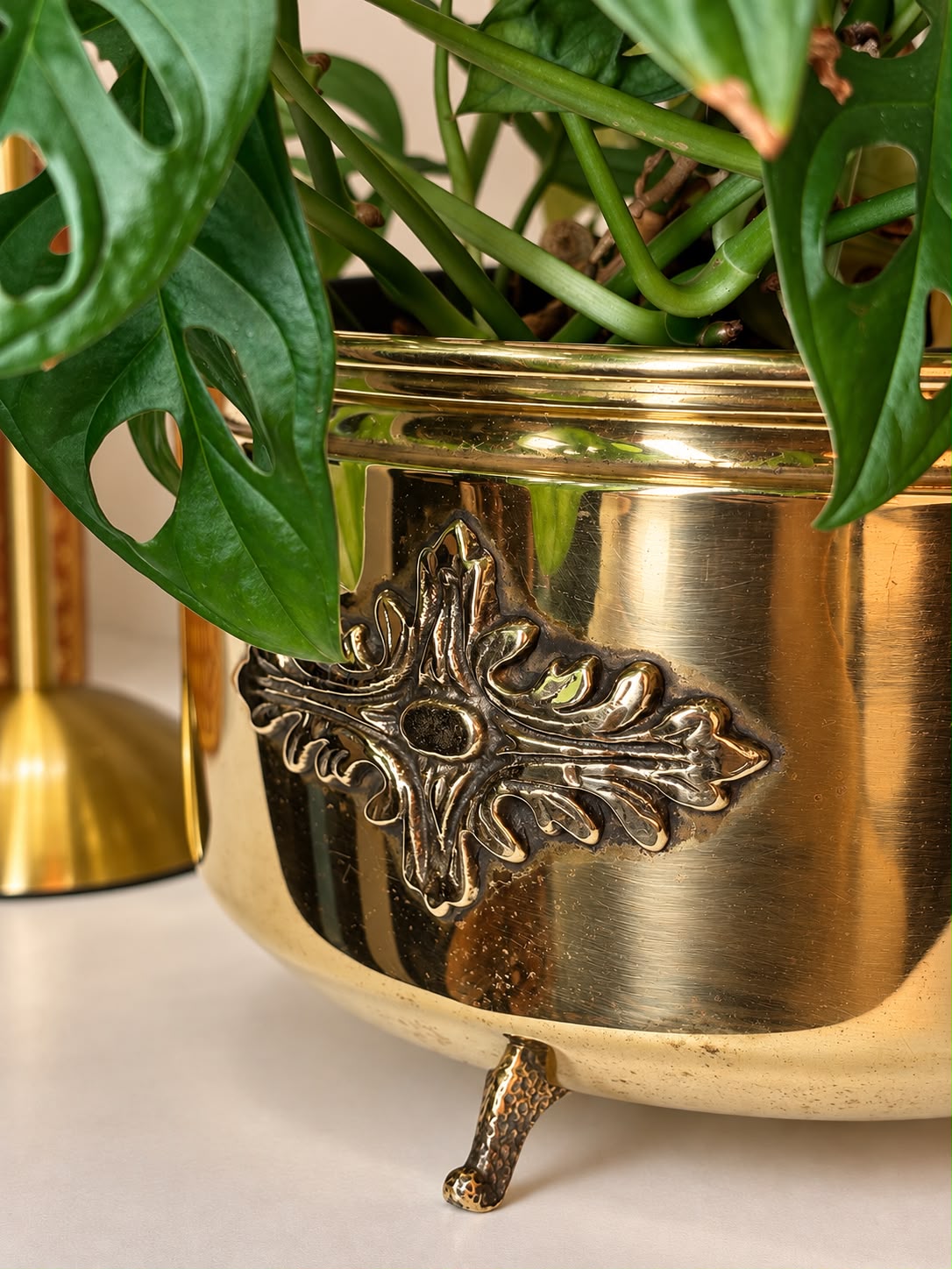 Cachepô em Latão e Bronze com Máscaras de Leão, Argolas e Pés Ornamentados