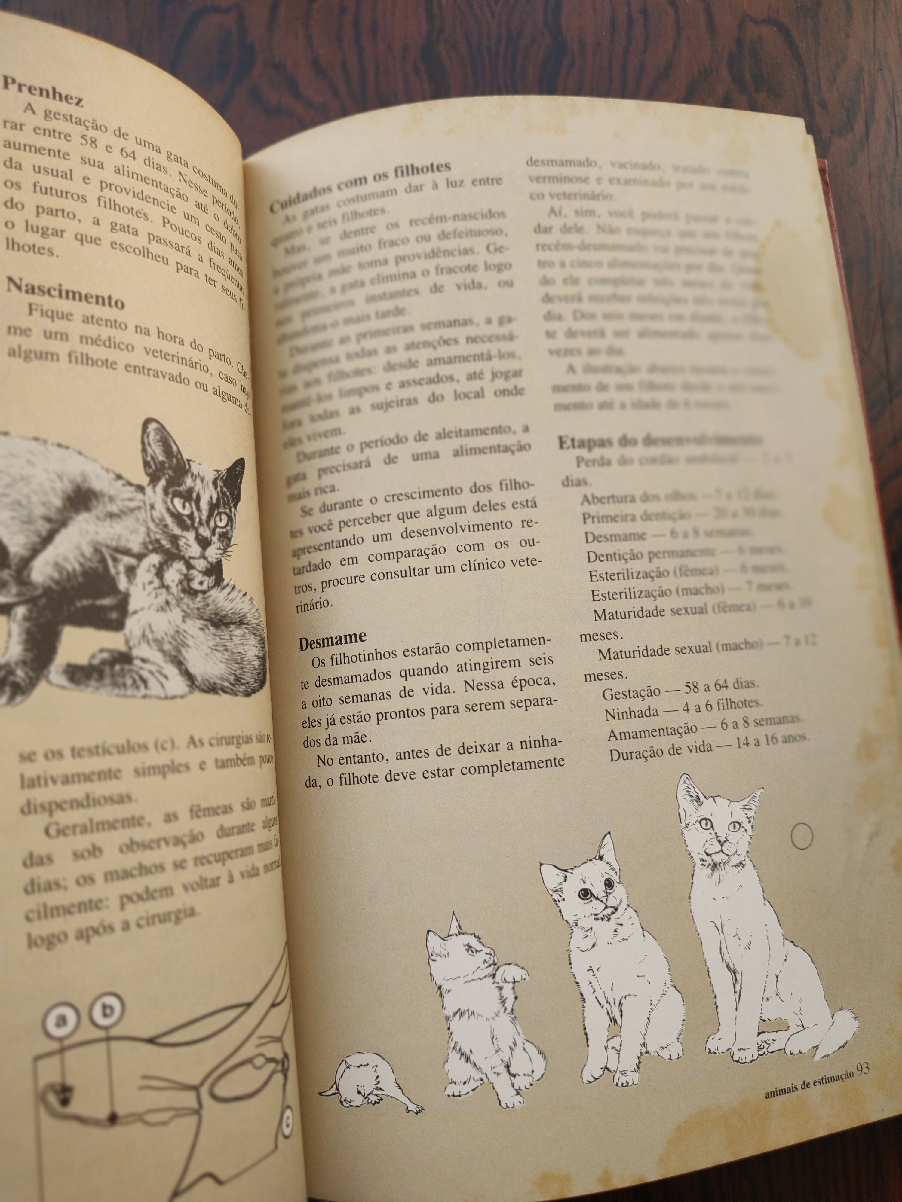 Livro &quot;Animais de Estimação&quot; - um guia prático de 1980