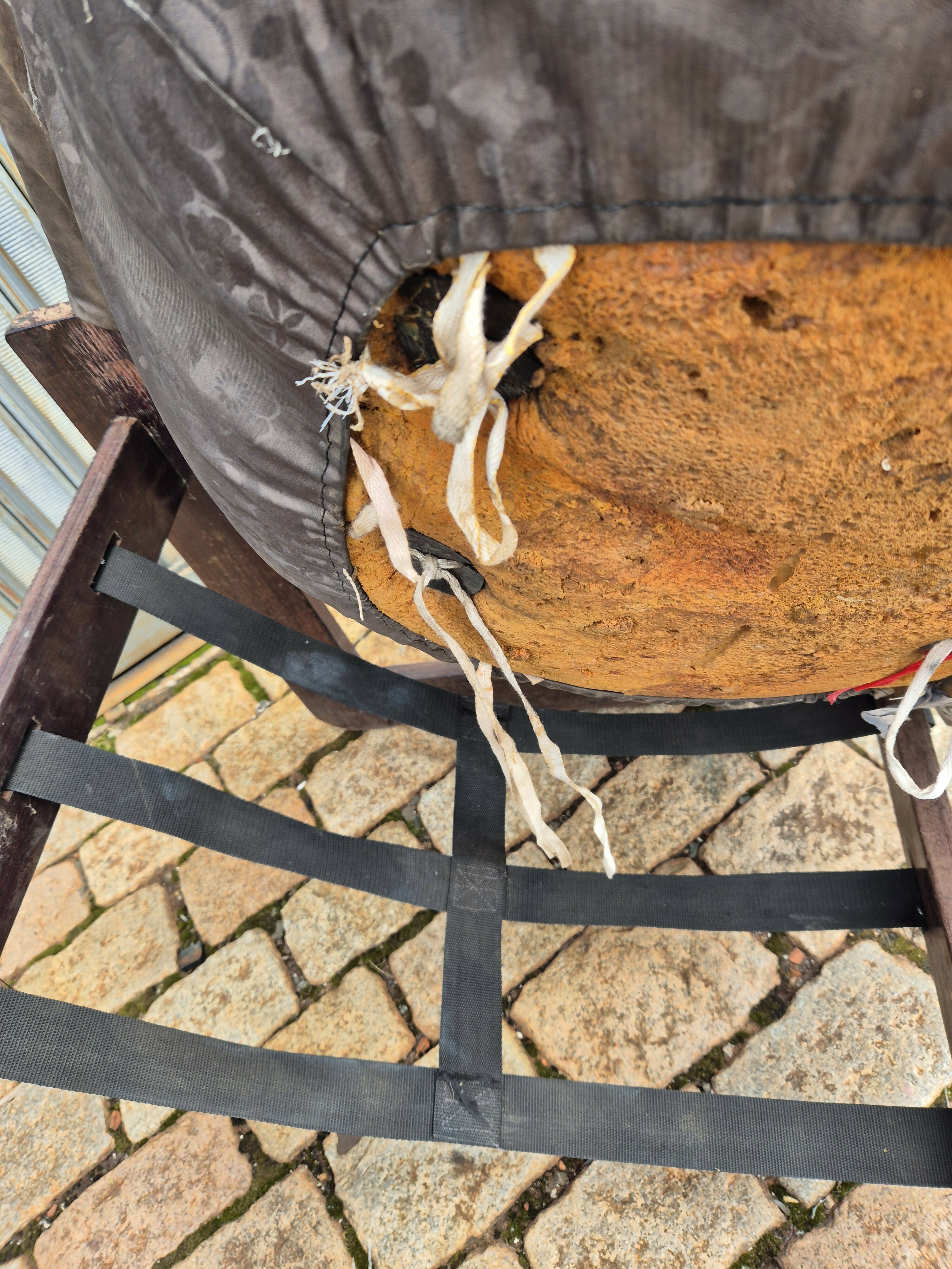 Poltrona MP-97 Percival Lafer